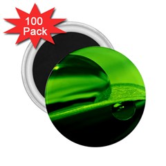 Green Drop 2 25  Button Magnet (100 Pack) by Siebenhuehner