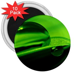Green Drop 3  Button Magnet (10 Pack) by Siebenhuehner