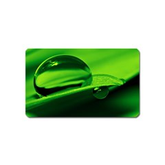 Green Drop Magnet (name Card)