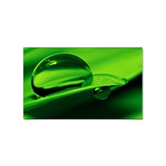 Green Drop Sticker 100 Pack (rectangle) by Siebenhuehner