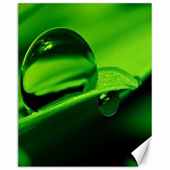 Green Drop Canvas 16  X 20  (unframed)