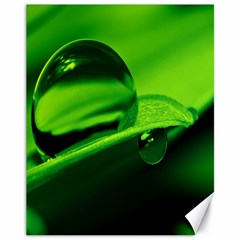 Green Drop Canvas 11  X 14  (unframed) by Siebenhuehner