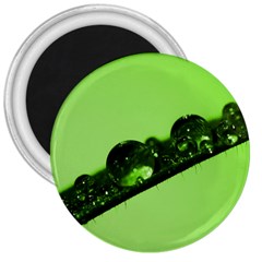 Green Drops 3  Button Magnet by Siebenhuehner