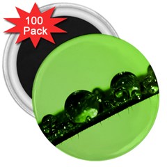 Green Drops 3  Button Magnet (100 Pack) by Siebenhuehner