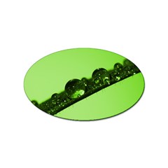 Green Drops Sticker 100 Pack (oval) by Siebenhuehner