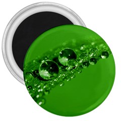 Green Drops 3  Button Magnet by Siebenhuehner