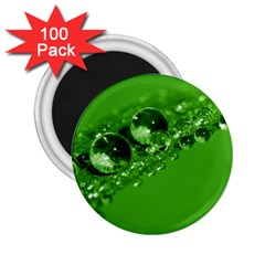 Green Drops 2 25  Button Magnet (100 Pack) by Siebenhuehner