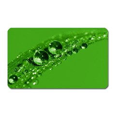 Green Drops Magnet (rectangular) by Siebenhuehner