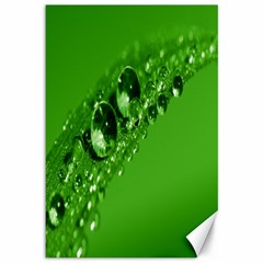 Green Drops Canvas 12  X 18  (unframed) by Siebenhuehner