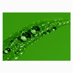 Green Drops Glasses Cloth (large, Two Sided) by Siebenhuehner