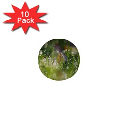 Drops 1  Mini Button (10 Pack)