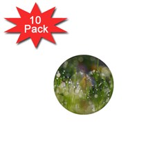 Drops 1  Mini Button Magnet (10 Pack) by Siebenhuehner