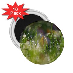 Drops 2 25  Button Magnet (10 Pack) by Siebenhuehner