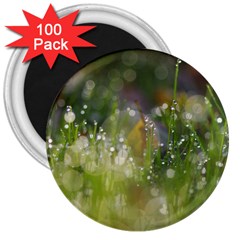 Drops 3  Button Magnet (100 Pack) by Siebenhuehner