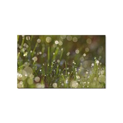 Waterdrops Sticker (rectangle) by Siebenhuehner