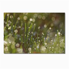 Waterdrops Postcards 5  X 7  (10 Pack) by Siebenhuehner