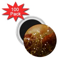 Waterdrops 1 75  Button Magnet (100 Pack) by Siebenhuehner