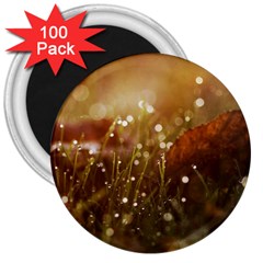 Waterdrops 3  Button Magnet (100 Pack) by Siebenhuehner