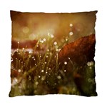 Waterdrops Cushion Case (Single Sided)  Front