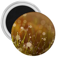 Waterdrops 3  Button Magnet by Siebenhuehner