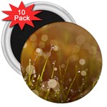 Waterdrops 3  Button Magnet (10 pack) Front