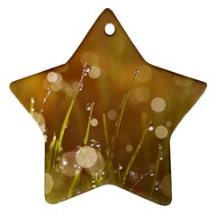 Waterdrops Star Ornament (two Sides)