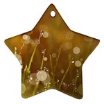 Waterdrops Star Ornament (Two Sides) Back