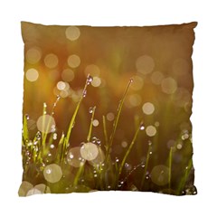 Waterdrops Cushion Case (single Sided)  by Siebenhuehner