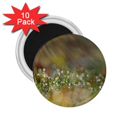 Sundrops 2 25  Button Magnet (10 Pack) by Siebenhuehner