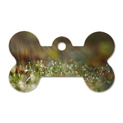 Sundrops Dog Tag Bone (one Sided) by Siebenhuehner