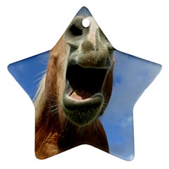 Haflinger  Star Ornament by Siebenhuehner