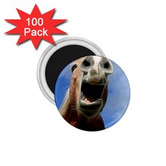 Haflinger  1 75  Button Magnet (100 Pack)