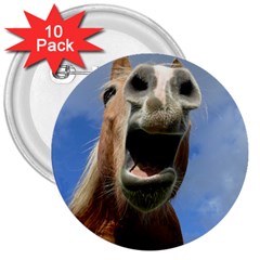 Haflinger  3  Button (10 Pack)