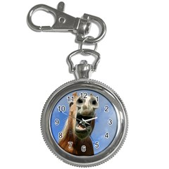 Haflinger  Key Chain & Watch