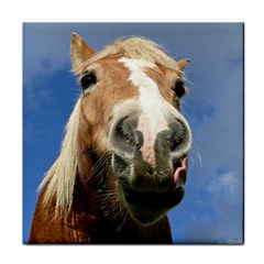 Haflinger  Ceramic Tile by Siebenhuehner