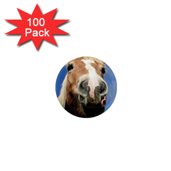 Haflinger  1  Mini Button Magnet (100 pack)