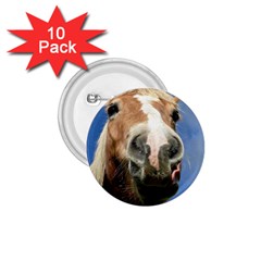 Haflinger  1 75  Button (10 Pack)