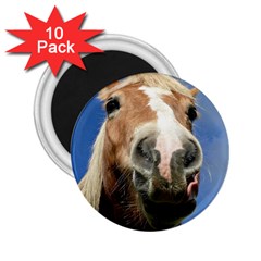 Haflinger  2 25  Button Magnet (10 Pack)