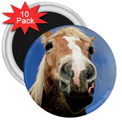 Haflinger  3  Button Magnet (10 Pack)