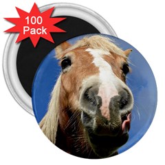 Haflinger  3  Button Magnet (100 Pack)