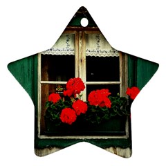 Window Star Ornament by Siebenhuehner