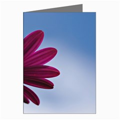 Daisy Greeting Card (8 Pack) by Siebenhuehner
