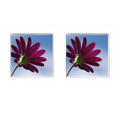 Daisy Cufflinks (square) by Siebenhuehner