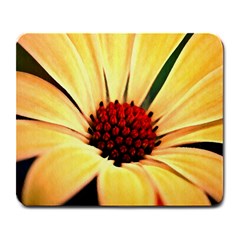 Osterspermum Large Mouse Pad (rectangle)