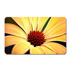 Osterspermum Magnet (rectangular) by Siebenhuehner