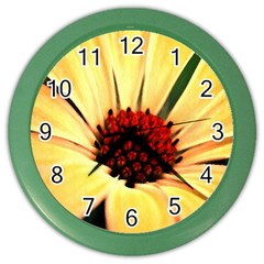 Osterspermum Wall Clock (color) by Siebenhuehner