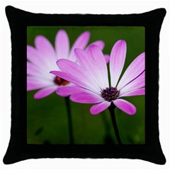 Osterspermum Black Throw Pillow Case