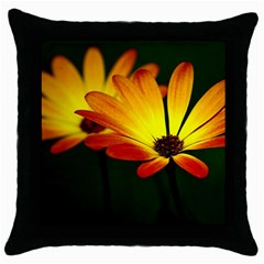 Osterspermum Black Throw Pillow Case by Siebenhuehner