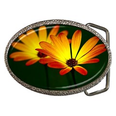 Osterspermum Belt Buckle (oval) by Siebenhuehner