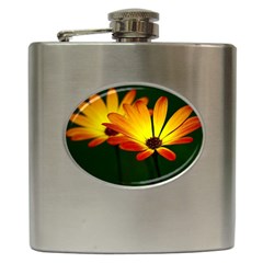 Osterspermum Hip Flask by Siebenhuehner